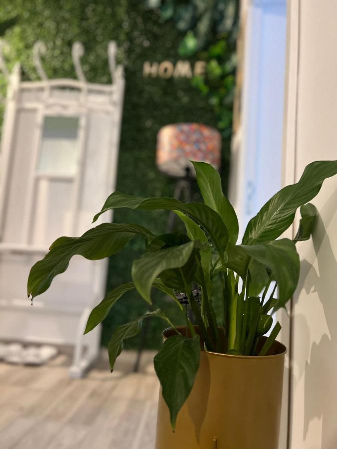 Sweet Home Apartament プレデアル エクステリア 写真
